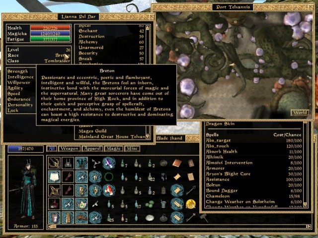 The Elder Scrolls V Skyrim