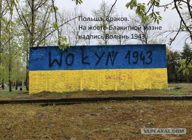 Польша вышла на второе место среди всех стран по объёму «военной помощи» Украине