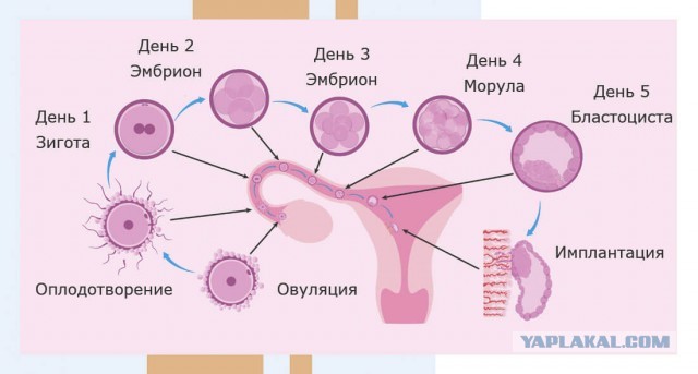 Как оно всё случается