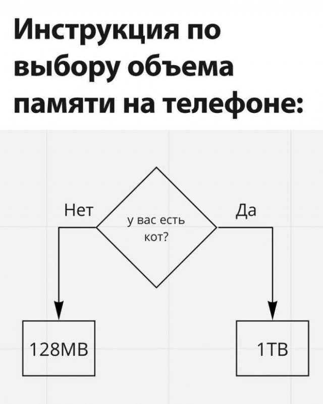 Картинки и мемы для настроения - 19