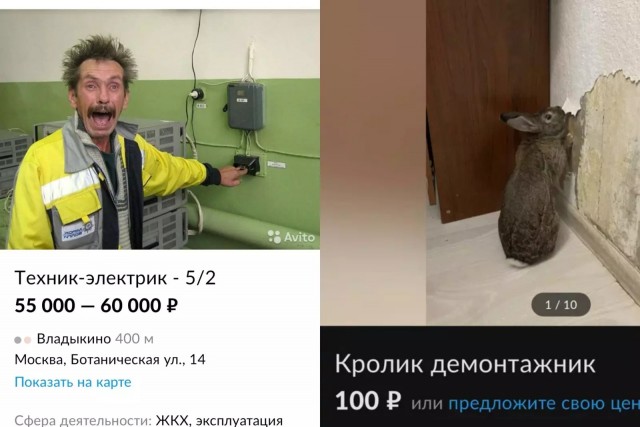 10+ объявлений с известного ресурса, которые опубликовали люди с отличным чувством юмора