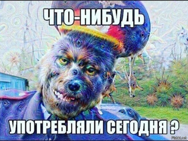 Весёлый полтишок 27.07.22