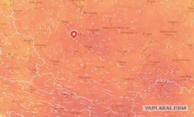 Скорее бы эта долбаная жара закончилась и дожди полили...