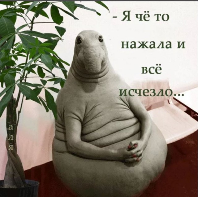 Пандемия съехавших крыш - разновидности болезни. Россия и мир. Часть 41.