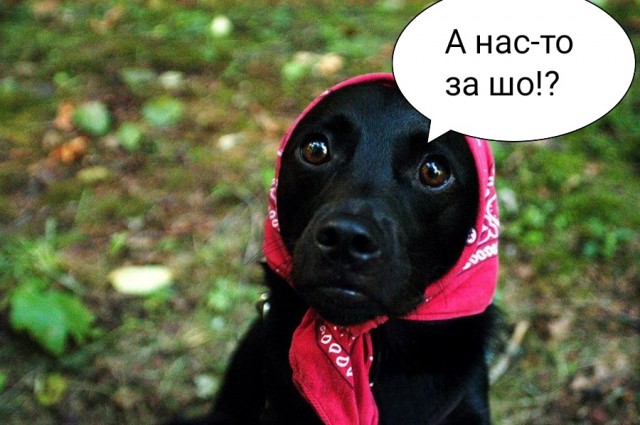 Странная женская натура. Вам для чего это надо?