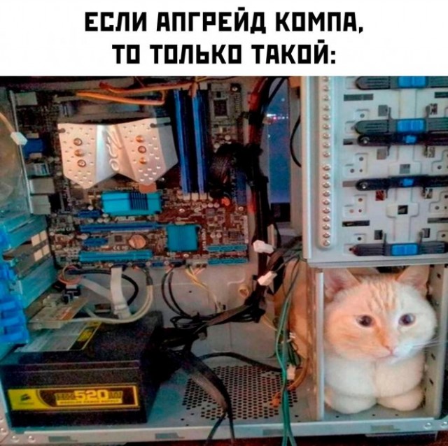 Немного картинок для настроения - 117