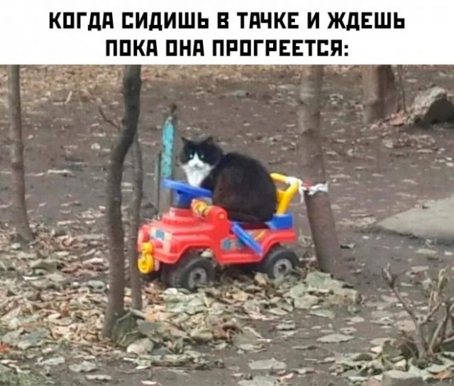 Немного картинок для настроения - 117