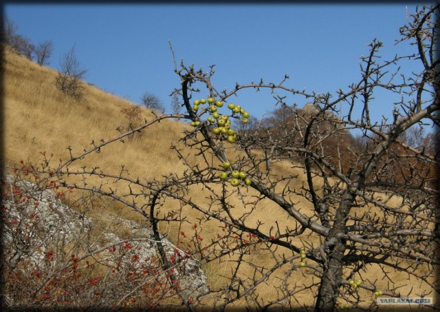 Крым. Южный Демерджи. Вершина.