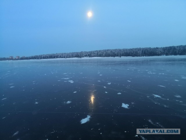Победная поступь идиотизма по планете – том 3