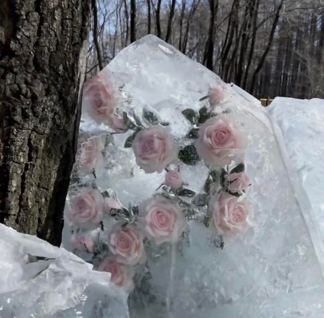Так себе картинки 02.01.2023