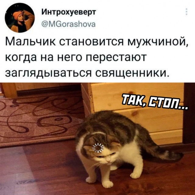 Весёлый полтишок 11.01.23