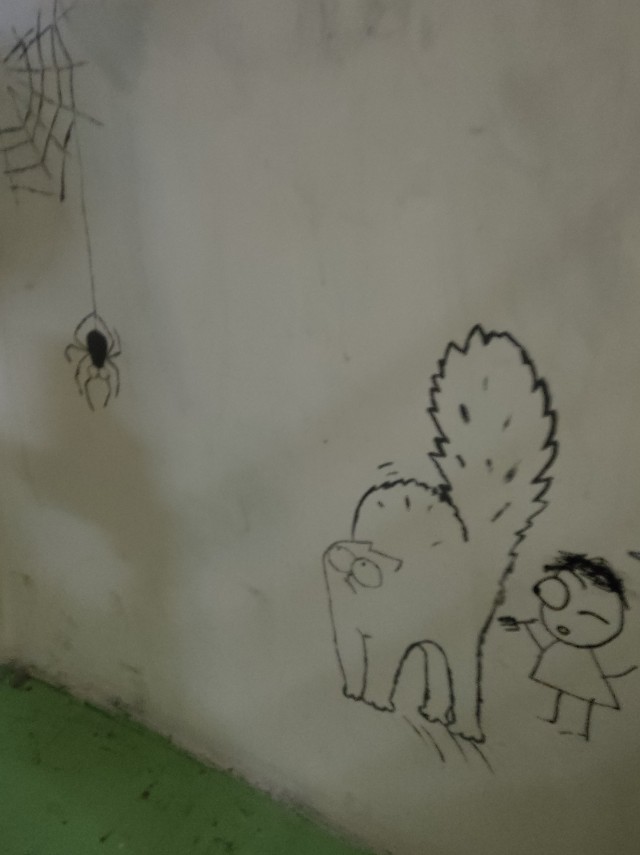 Начинаем котовторник.