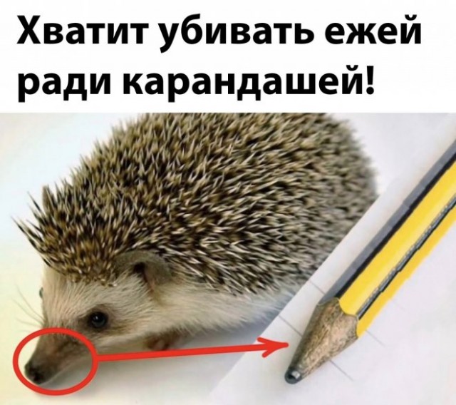 Картинки и мемы, всем хороших выходных