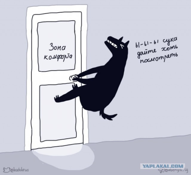 Женщины до 24 лет не заводят детей из-за отсутствия семьи, жилья и постоянного дохода, а после 30 они боятся ухудшения здоровья