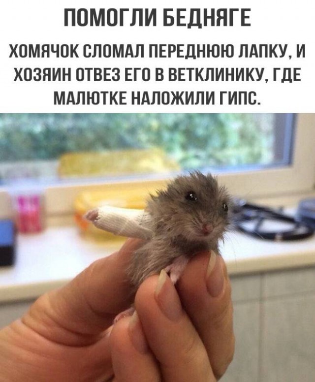 Когда и где мы свернули не туда?!