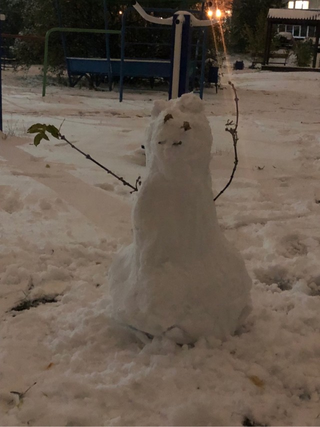 Снеговики, которых слепили очень креативные люди
