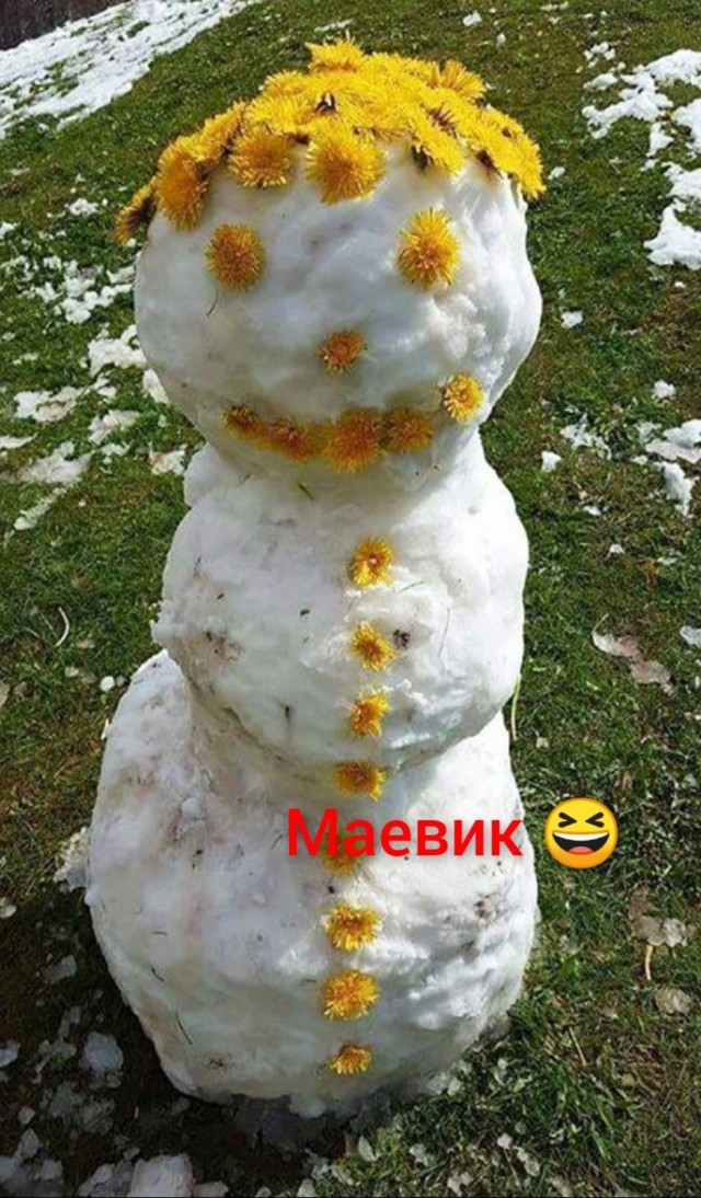 Май, ты чиво наделал?