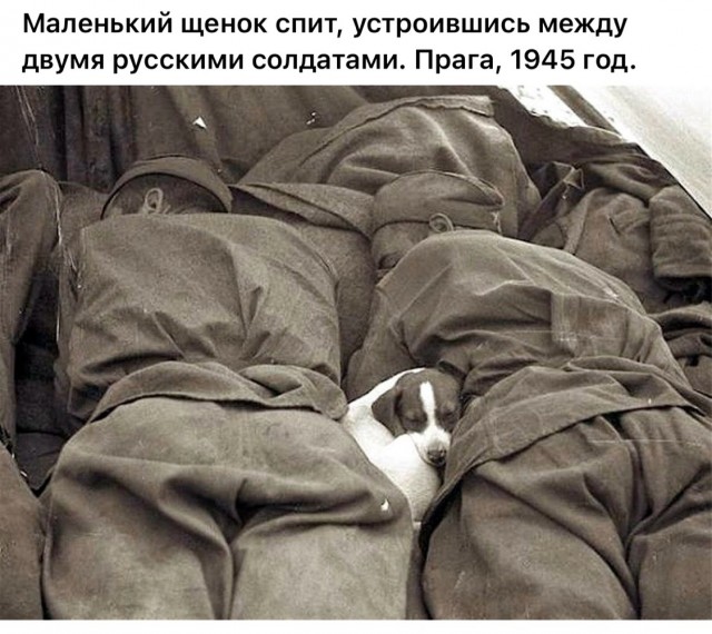 Интересные и редкие ретро-фотографии 21.05.24