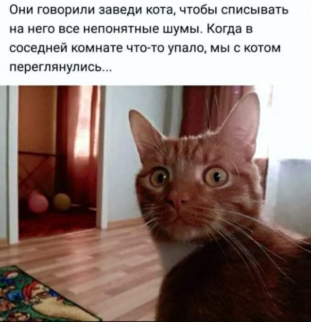 Завалялось тут случайно немного забавных картинок