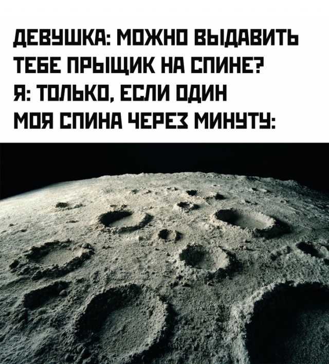 Весёлый полтишок 04.06.24