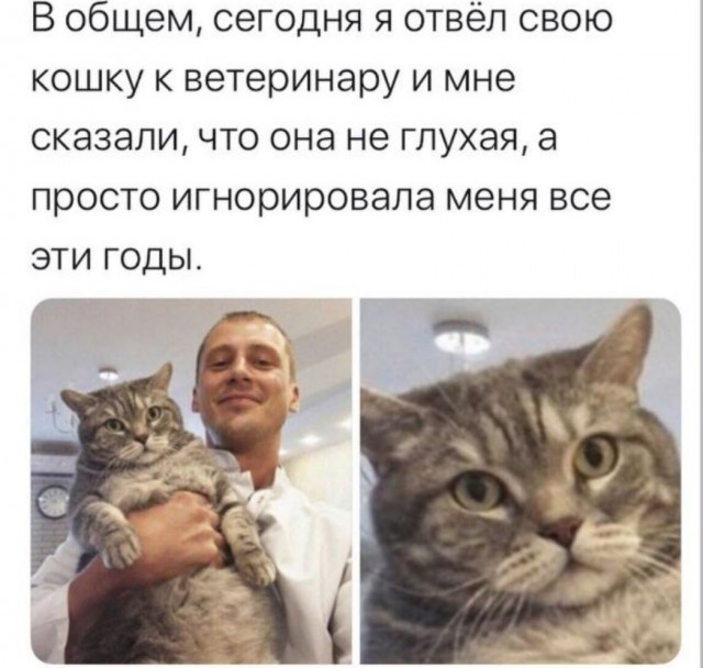 Никакие картинки