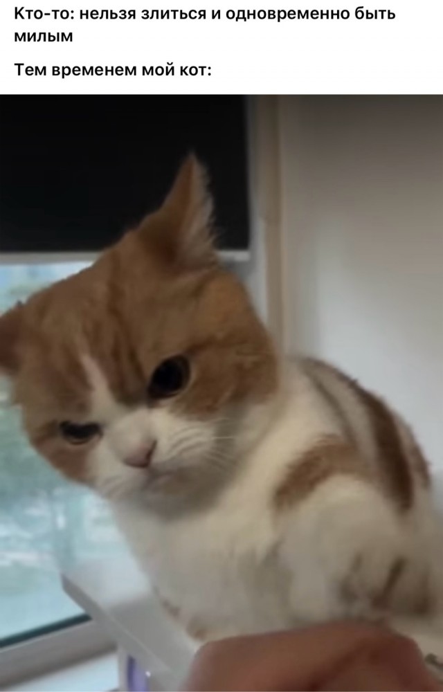 Никакие картинки