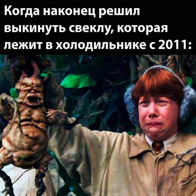 Так себе картинки 16.07.24