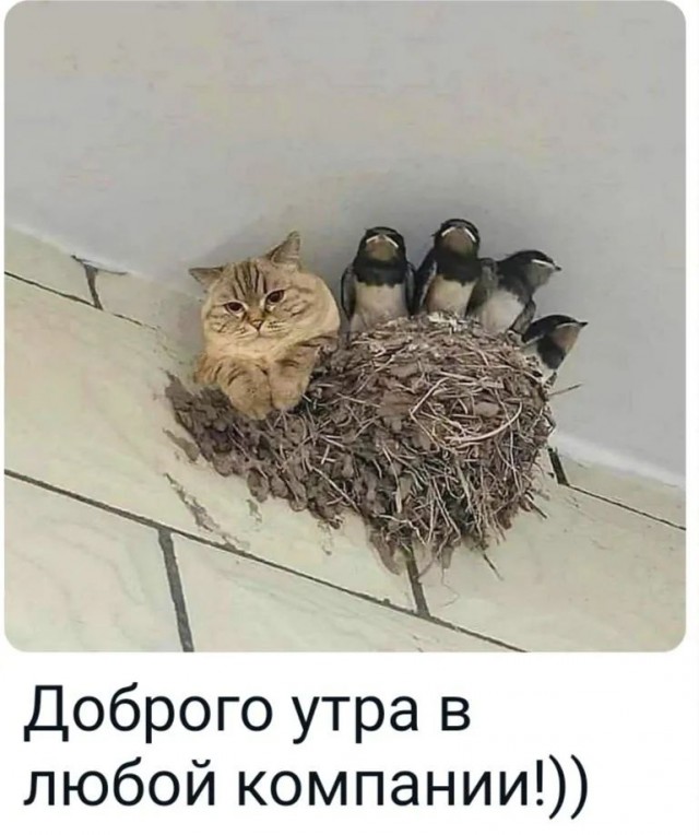 Завалялось тут случайно немного забавных картинок