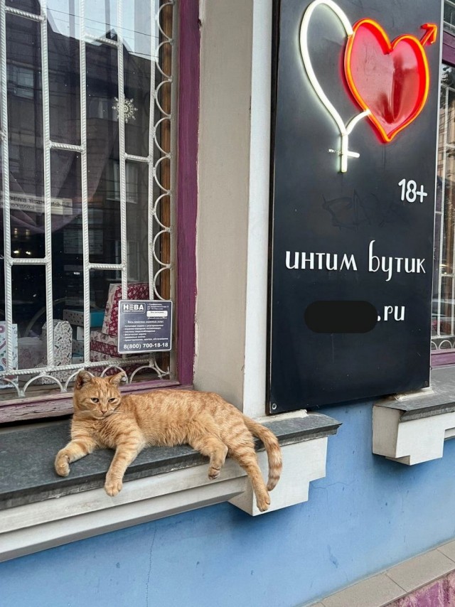 Отборные баяны 10-летней выдержки vol. 2