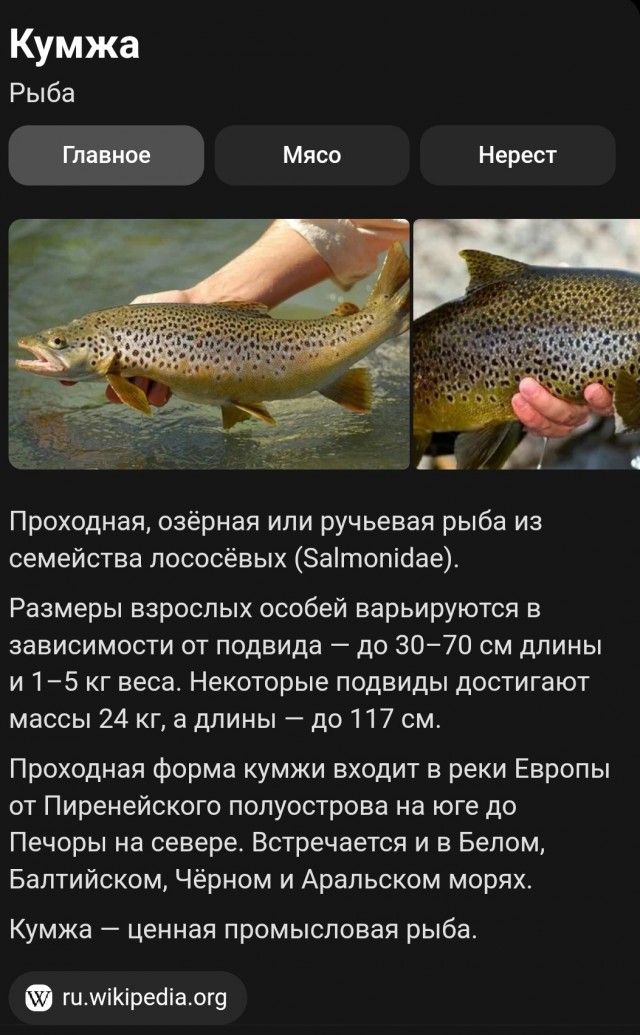 В этот раз всё удачно.