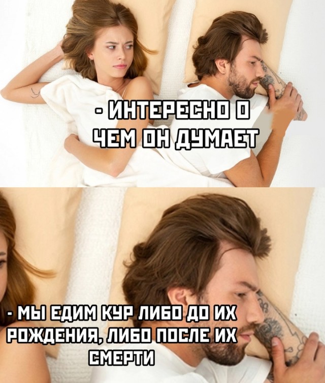 Весёлый полтишок 27.02.2025