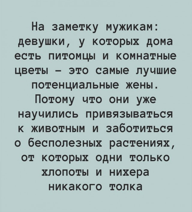 Так себе картинки 02.03.25