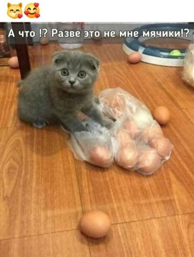 Так себе картинки 03.03.25