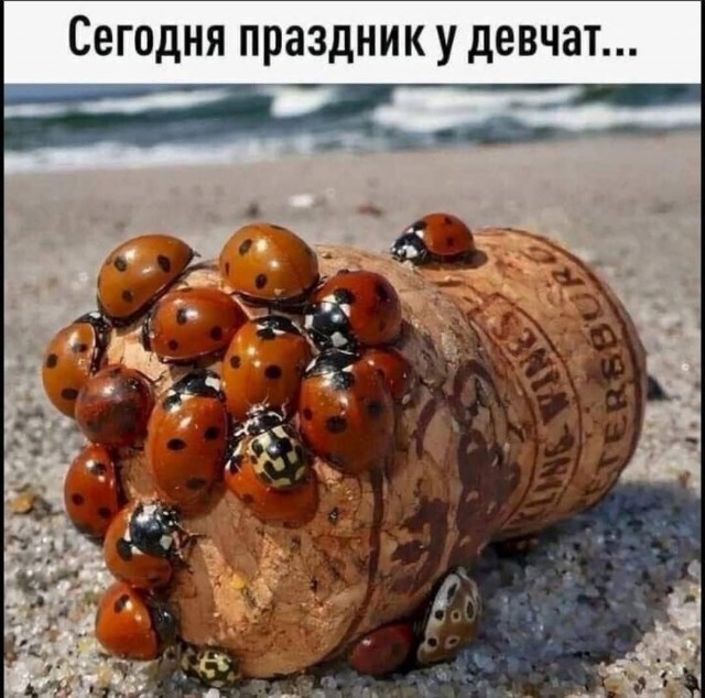 Маленькая пятница 02.04.2025