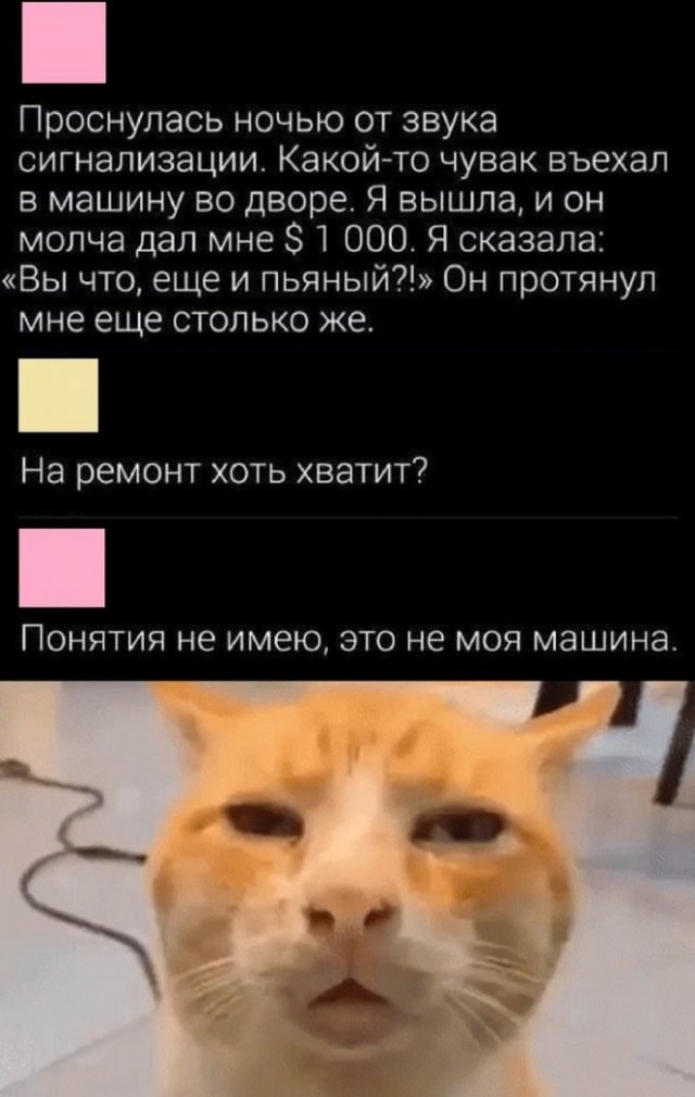 Веселые картинки в понедельник (02.06)