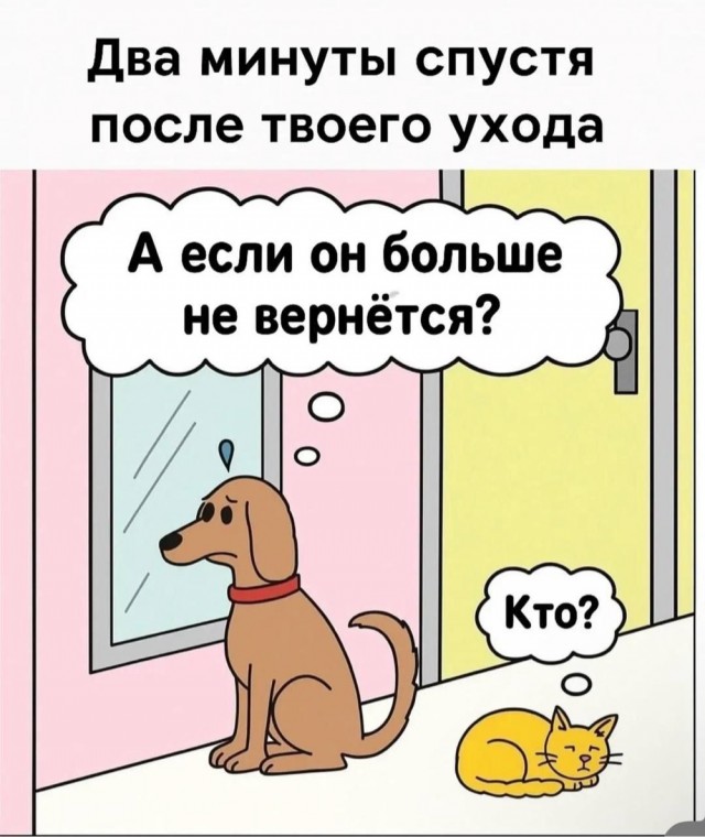 Девушка попросила в Хвиттере остальных скинуть любимые мемы с котами