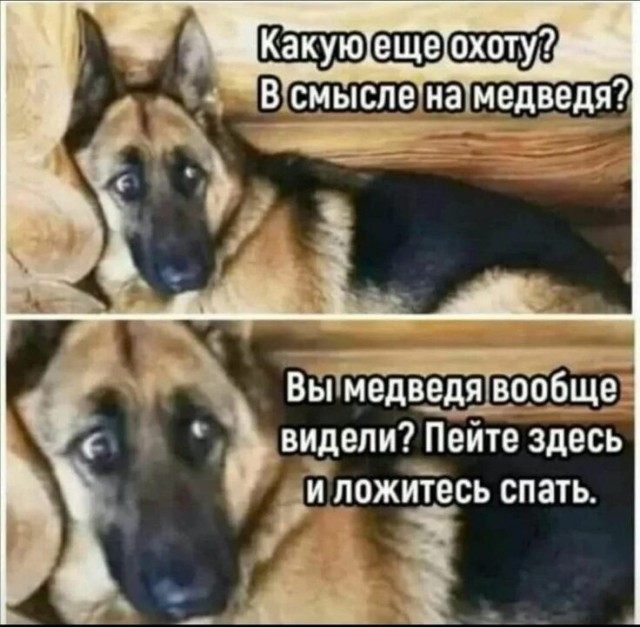 O kurwa