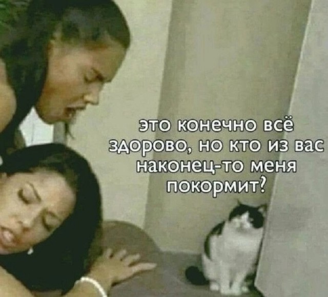 Так себе картинки 20.08.25