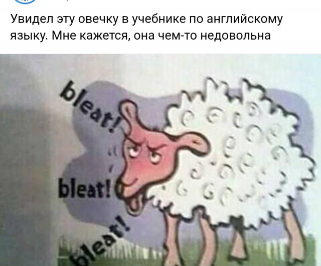 Сундук деграданта! Выпуск номер 3!