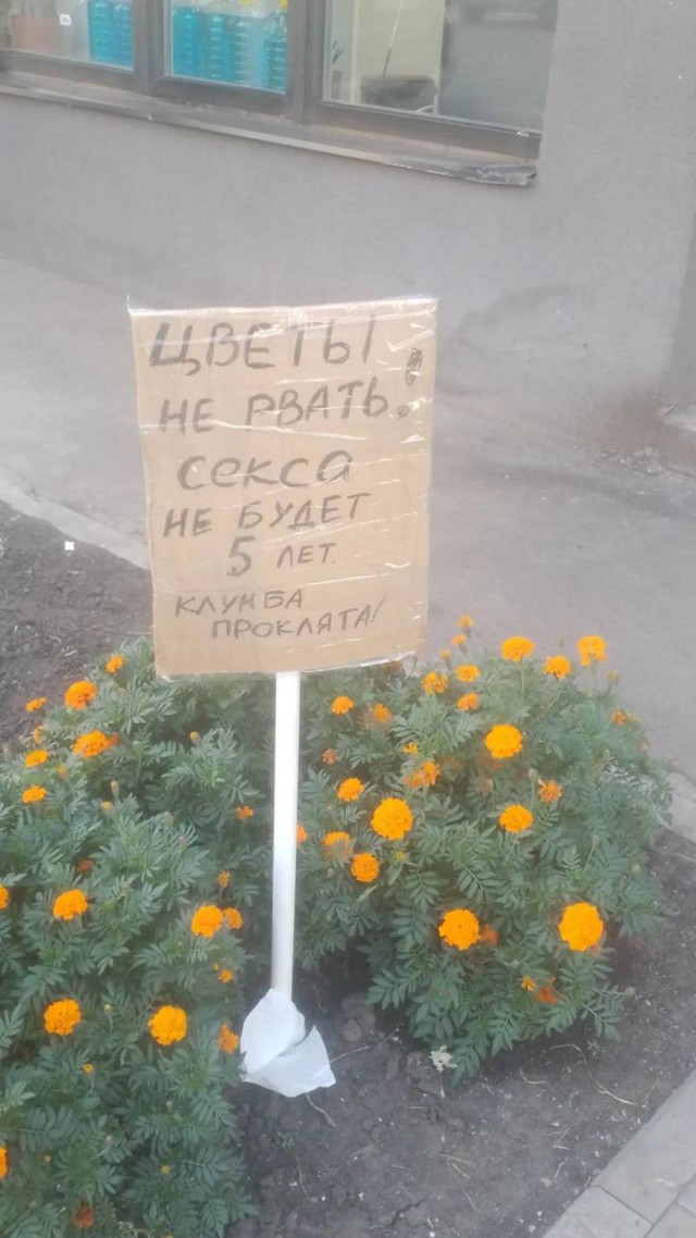 Картинки для деградации 45 (разной степени свежести)