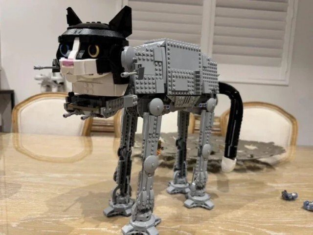 Фото ассортинки