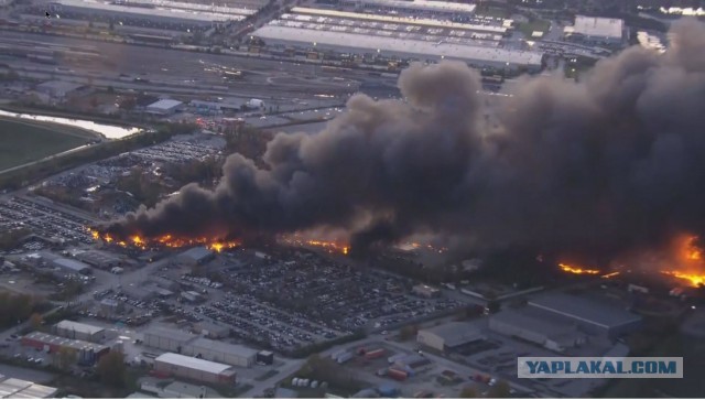 Момент крушения грузового самолета в международном аэропорту имени Мухаммеда Али в Луисвилле, США
