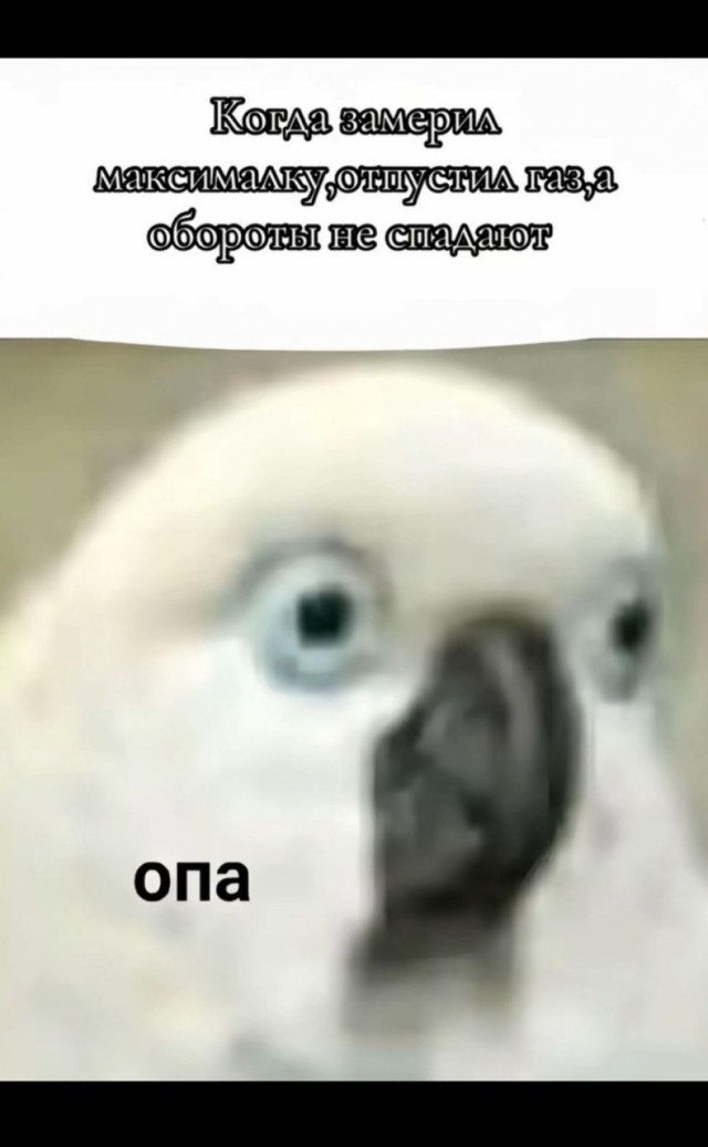 Наскрябыл немного