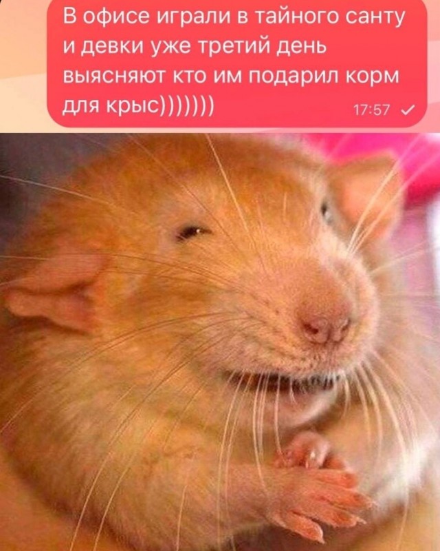 Виталий Милонов сравнил играющих в «Тайного Санту» с обезьянами