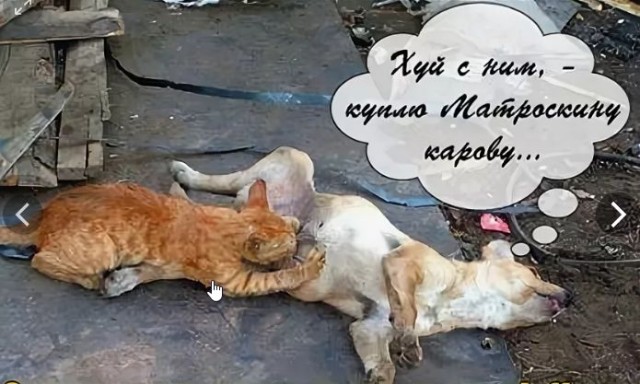К Звездам! Дичь