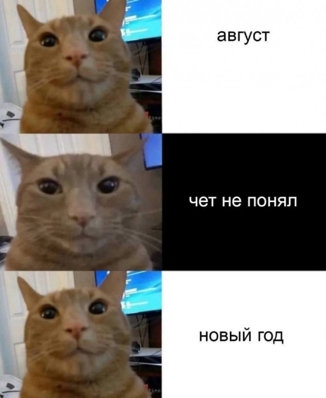 Дегрономикон 8