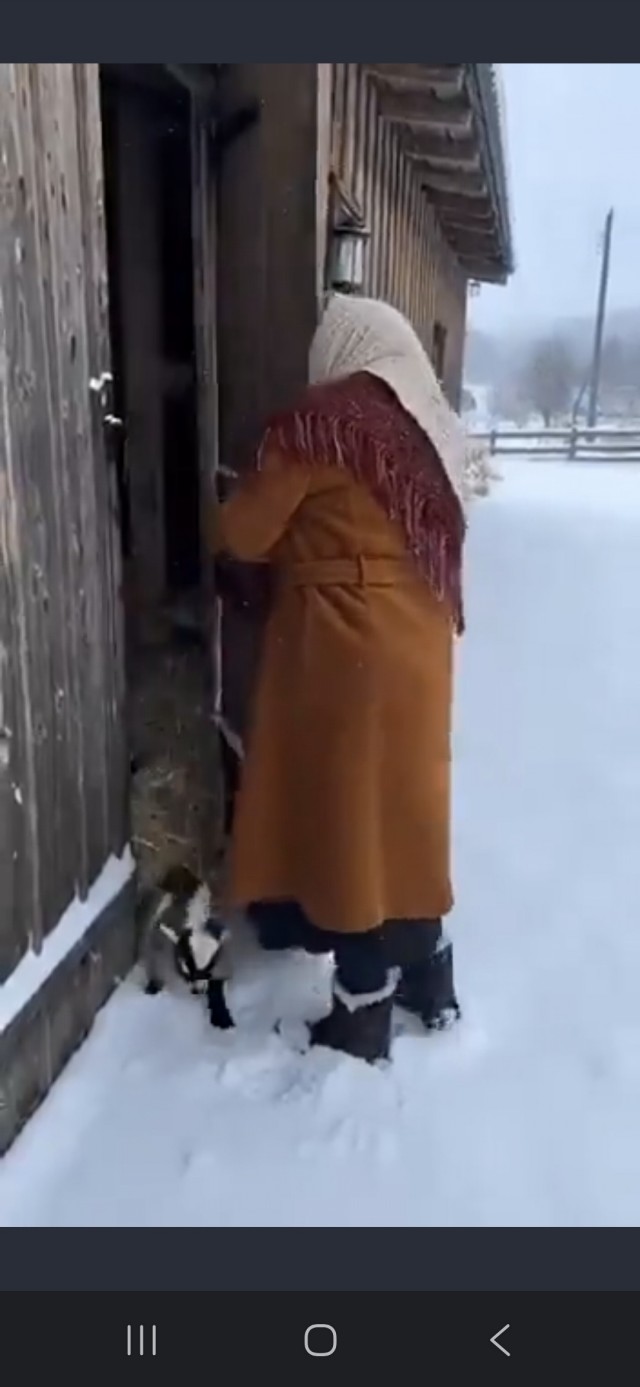 Свобода