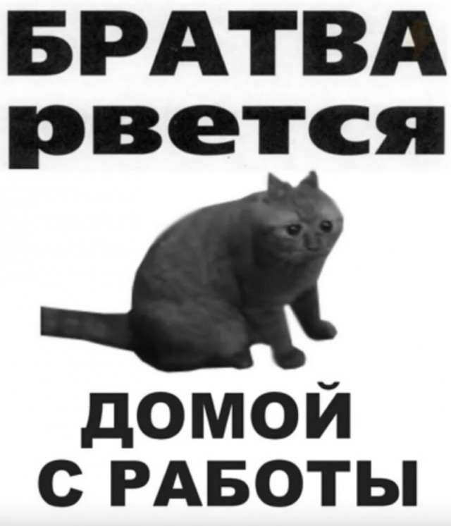 Картиночки, баянчики 30 января