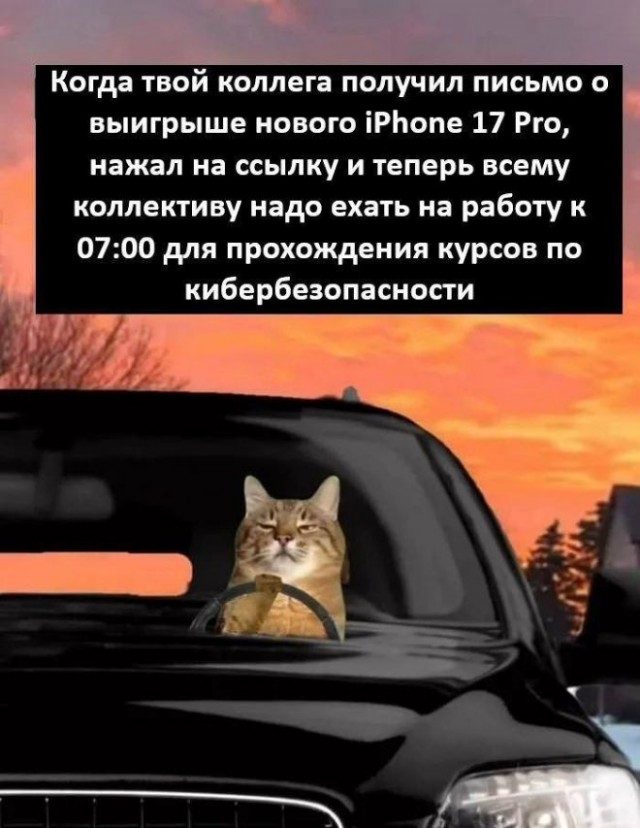 Картиночки, баянчики 10 февраля