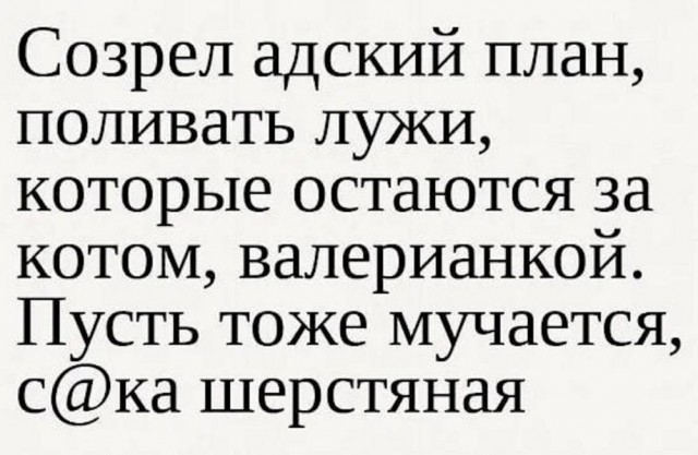 Картинки для деградации 173 (разной степени свежести)